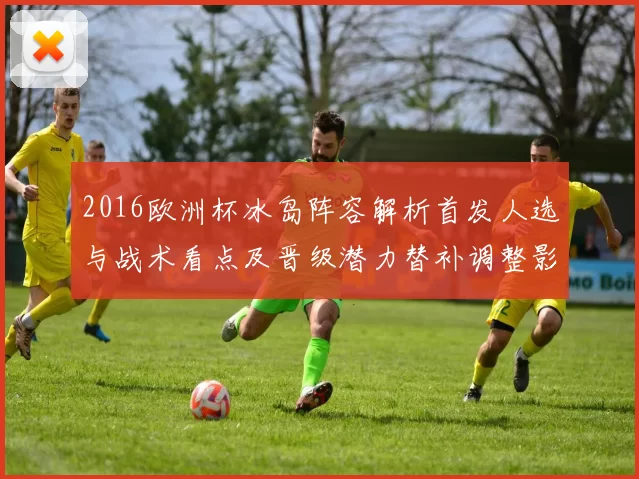 2016欧洲杯冰岛阵容解析首发人选与战术看点及晋级潜力替补调整影响比赛策略